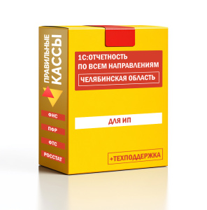 Отчетность_ИП_Челябинская область