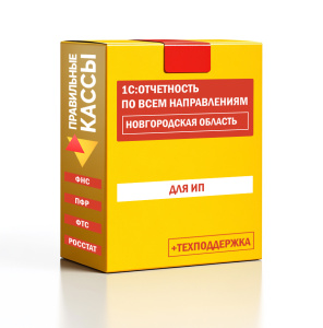 Отчетность_ИП_Новгородская область